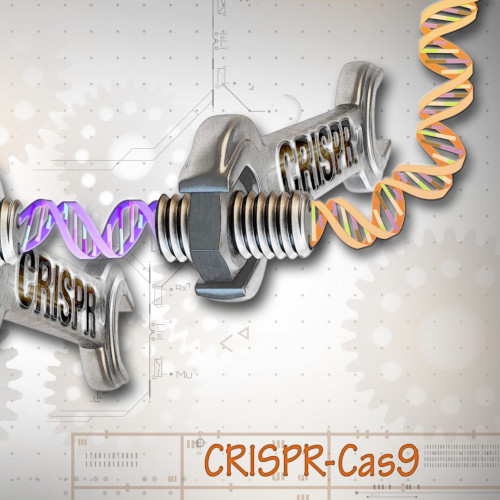 Gene-editing-6